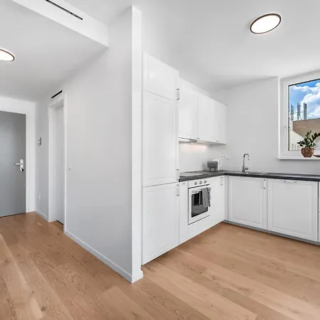 Castle And Danube View Pressburg